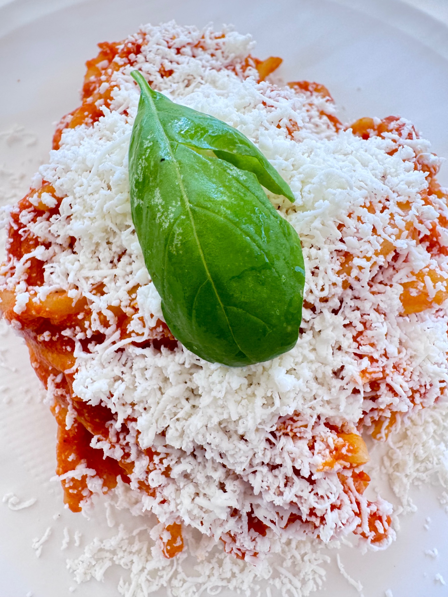 Pasta with tomato sauce, grated cheese and fresh basil