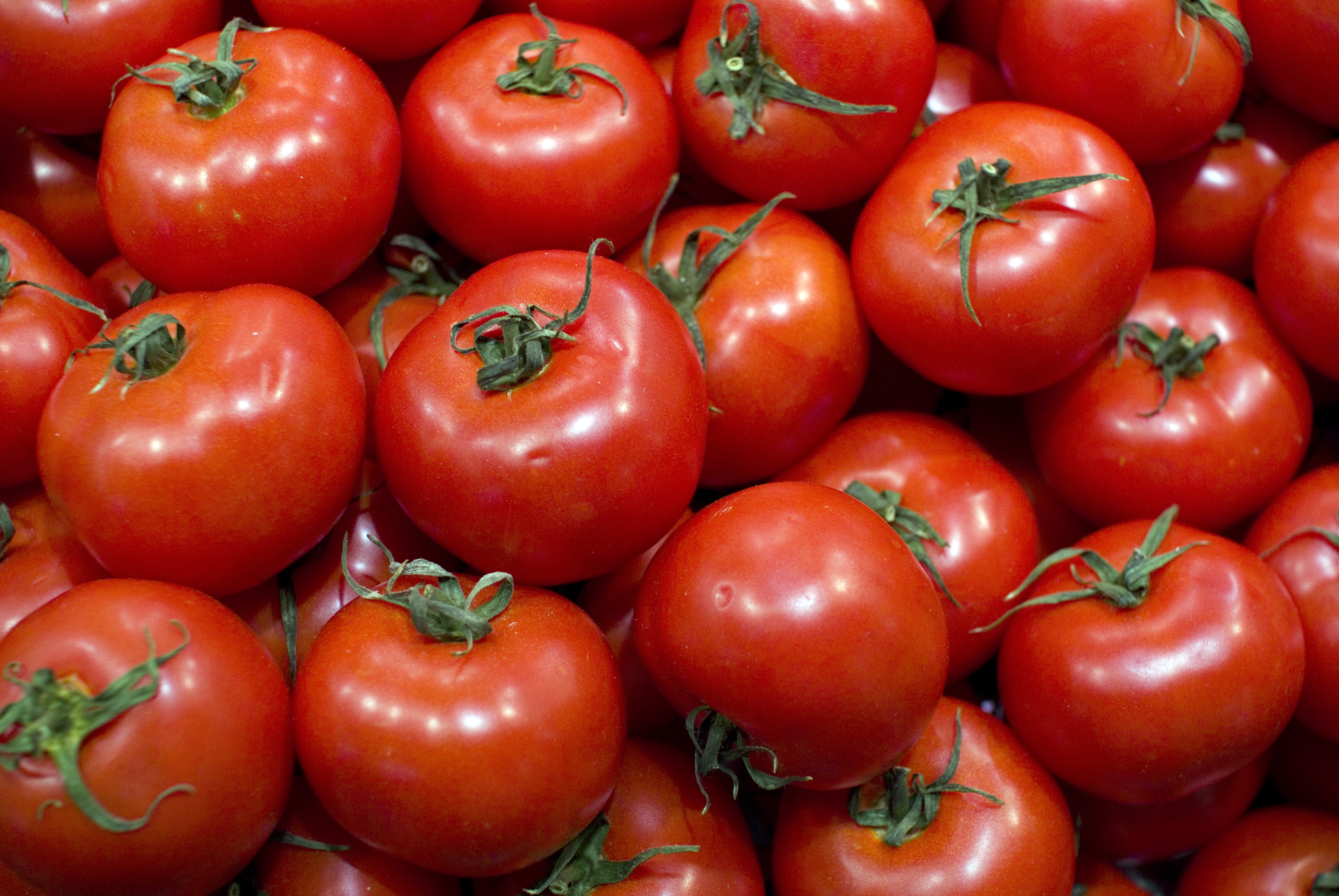 Ripe red tomatoes